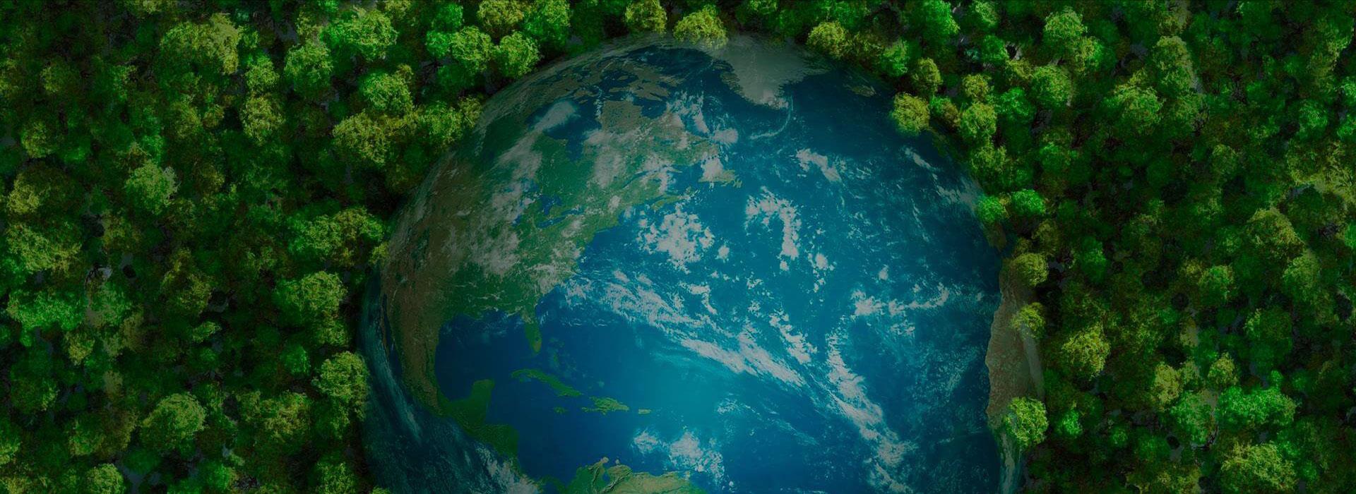 ������ʱ