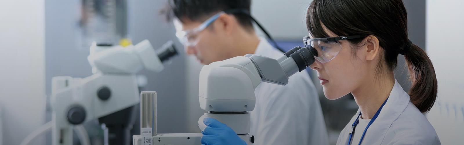 ������ʱ