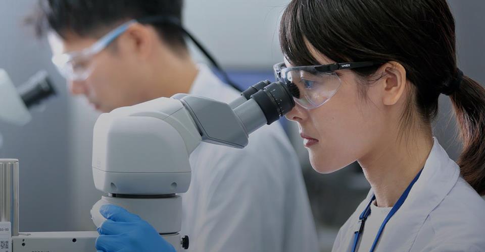 ������ʱ