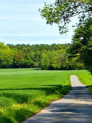 ��ʱ������(�й���)�������ǲ�!